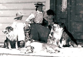 Dorothy with Della and six of her champion Collies