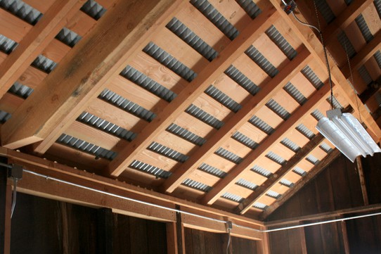 New rafters and galvinized roof -- Note that much of the original  redwood siding (dark-colored wood) has been preserved