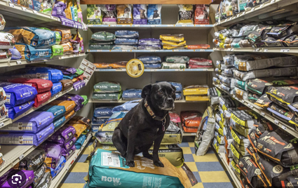 The Pet Pantry stocks a large assortment of dog and cat food